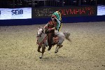 Quadrille - 00314